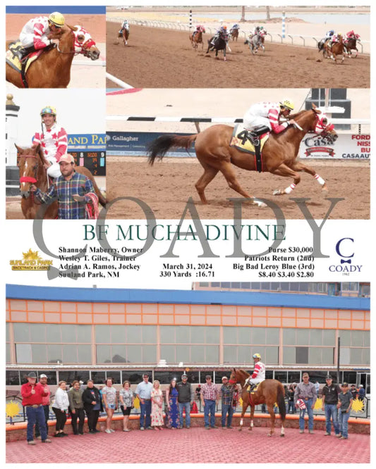 Bf Mucha Divine - 03 - 31 - 24 R03 Sun Sunland Park
