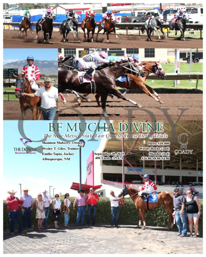 BF MUCHA DIVINE - The New Mexico State Fair Quarter Horse Derby Trials - 09-20-25 - R02 - ALB (Copy) - Coady Media - Kurtis Coady Photography