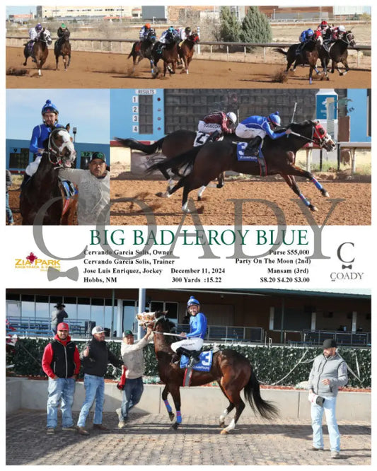 Big Bad Leroy Blue - 12-11-24 R06 Zia Zia Park