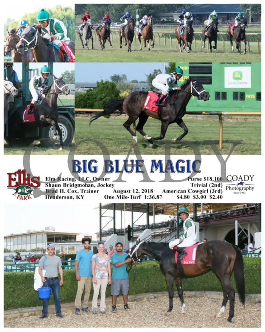 Big Blue Magic - 081218 Race 10 Elp Ellis Park