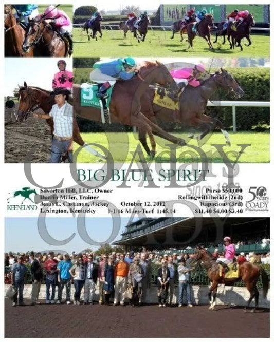 Big Blue Spirit - 101212 Race 04 Keeneland