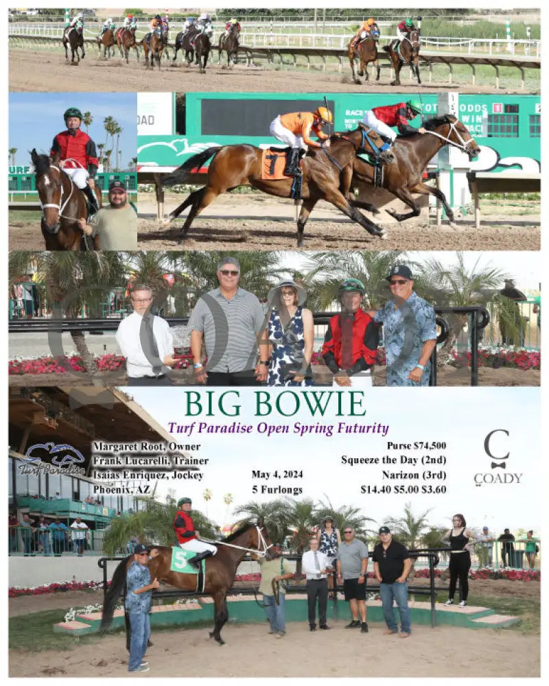 Big Bowie - Turf Paradise Open Spring Futurity 05-04-24 R10 Tup