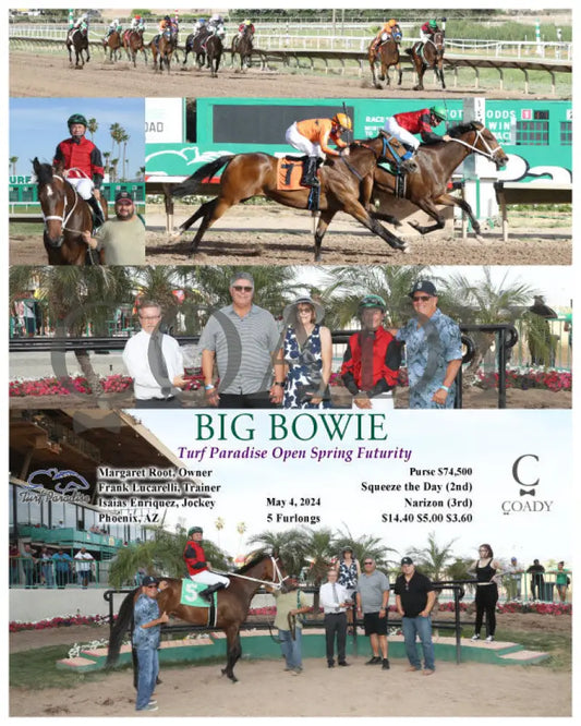 Big Bowie - Turf Paradise Open Spring Futurity 05-04-24 R10 Tup