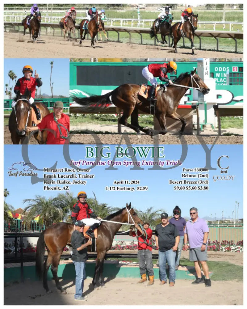 Big Bowie - Turf Paradise Open Spring Futurity Trials 04 - 11 - 24 R07 Tup
