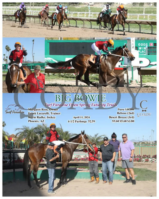 Big Bowie - Turf Paradise Open Spring Futurity Trials 04 - 11 - 24 R07 Tup