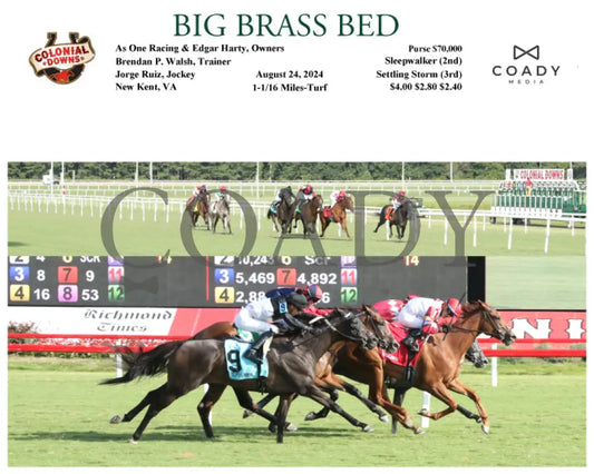 Big Brass Bed - 08-24-24 R07 Cnl Ellis Park