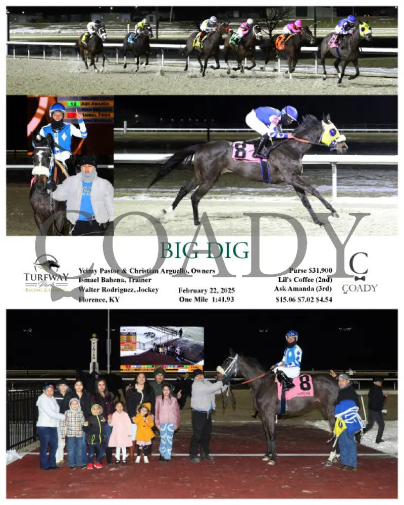 BIG DIG - 02-22-25 - R09 - TP Turfway Park