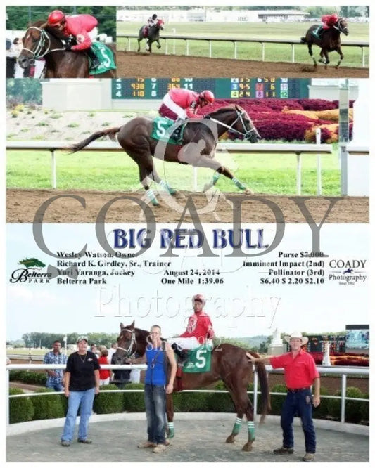 BIG RED BULL - 082414 - Race 08 - BTP - Coady Media - Kurtis Coady Photography