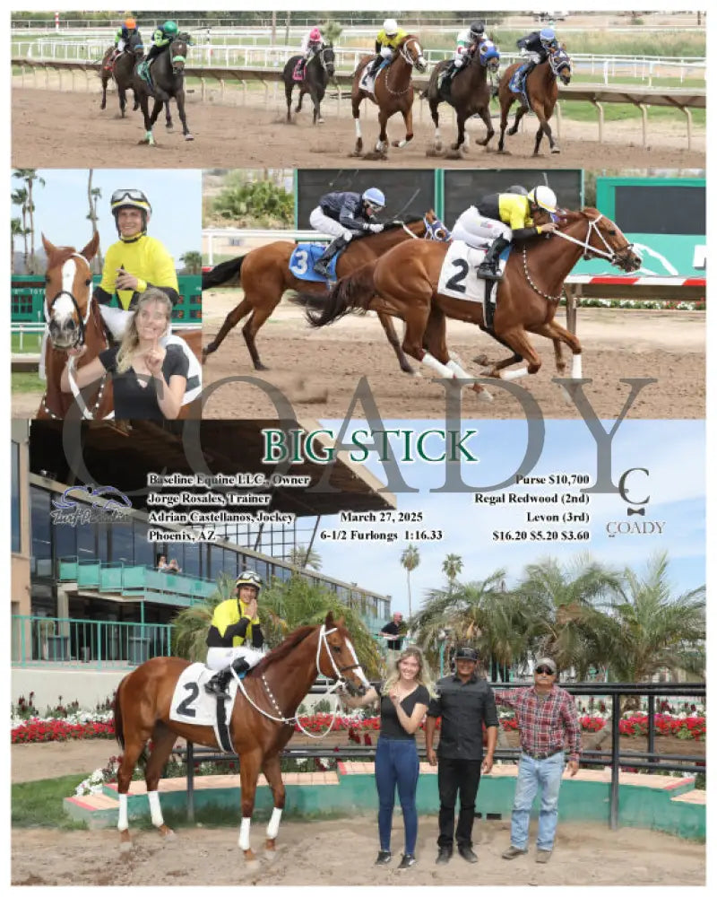 BIG STICK - 03-27-25 - R04 - TUP Turf Paradise