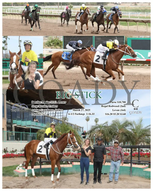 BIG STICK - 03-27-25 - R04 - TUP Turf Paradise