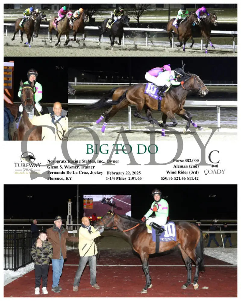 BIG TO DO - 022225 - Race 06 - TP Turfway Park