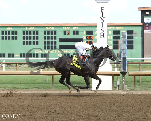 BIG TRUZZ - The Ellis Park Derby - 08-10-25 - R08 - ELP - Finish 01 Ellis Park