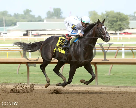 BIG TRUZZ - The Ellis Park Derby - 08-10-25 - R08 - ELP - Finish 02 Ellis Park