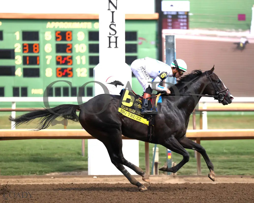 BIG TRUZZ - The Ellis Park Derby - 08-10-25 - R08 - ELP - Finish 03 Ellis Park