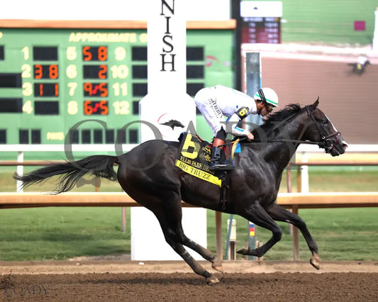 BIG TRUZZ - The Ellis Park Derby - 08-10-25 - R08 - ELP - Finish 03 Ellis Park