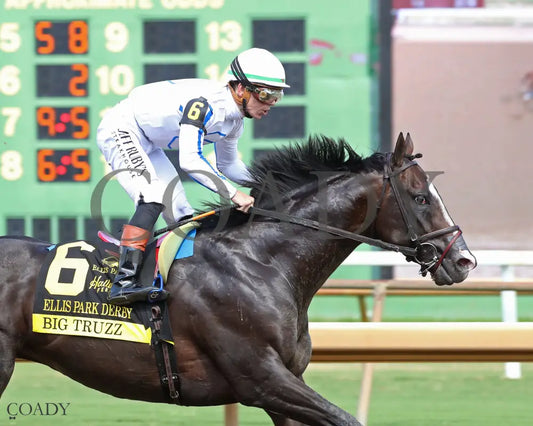 BIG TRUZZ - The Ellis Park Derby - 08-10-25 - R08 - ELP - Gallop Out 01 Ellis Park
