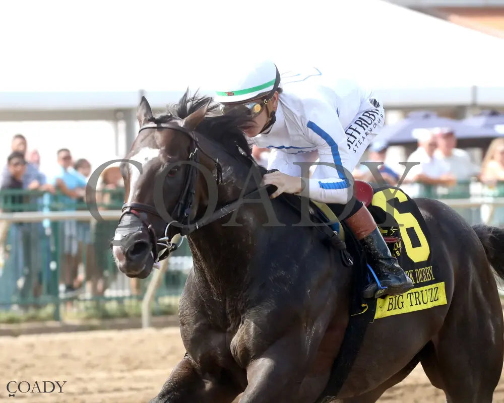 BIG TRUZZ - The Ellis Park Derby - 08-10-25 - R08 - ELP - Inside Finish 01 Ellis Park