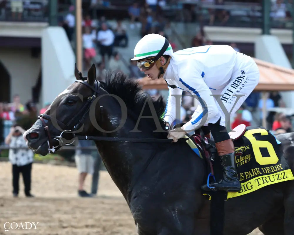 BIG TRUZZ - The Ellis Park Derby - 08-10-25 - R08 - ELP - Inside Finish 02 Ellis Park