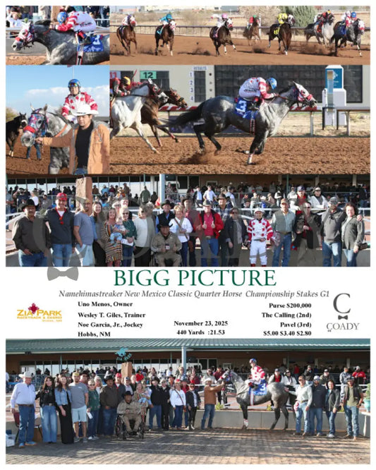 BIGG PICTURE - Namehimastreaker New Mexico Classic Quarter Horse Championship Stakes G1 - 11-23-25 - R08 - ZIA - Coady Media - Kurtis Coady Photography