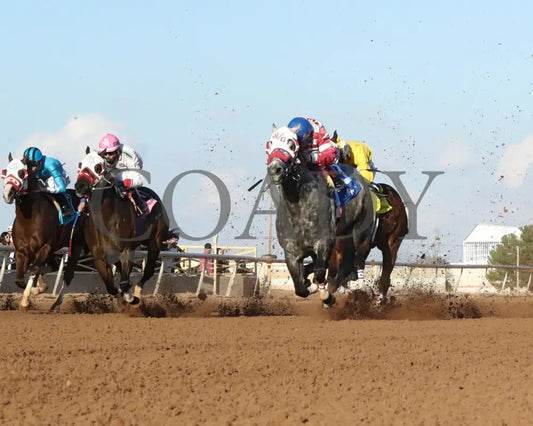 BIGG PICTURE - Namehimastreaker New Mexico Classic Quarter Horse Championship Stakes G1 - 11-23-25 - R08 - Zia Park - Under Rail - Coady Media - Kurtis Coady Photography
