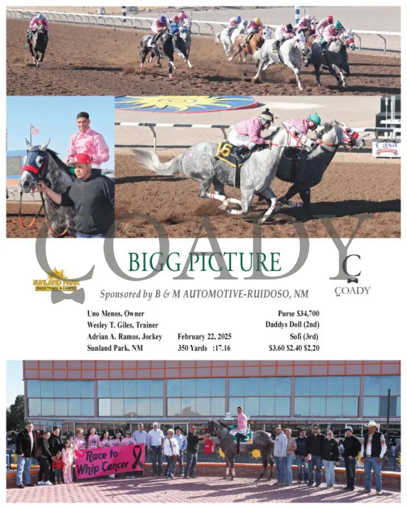 BIGG PICTURE - Sponsored by B & M AUTOMOTIVE-RUIDOSO NM - 02-22-25 - R08 - SUN Turfway Park