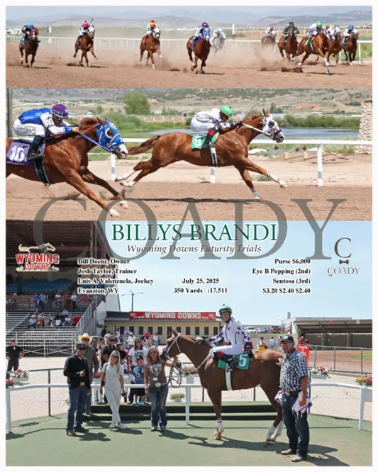BILLYS BRANDI - Wyoming Downs Futurity Trials - 07-25-25 - R01 - WYO Wyoming Downs