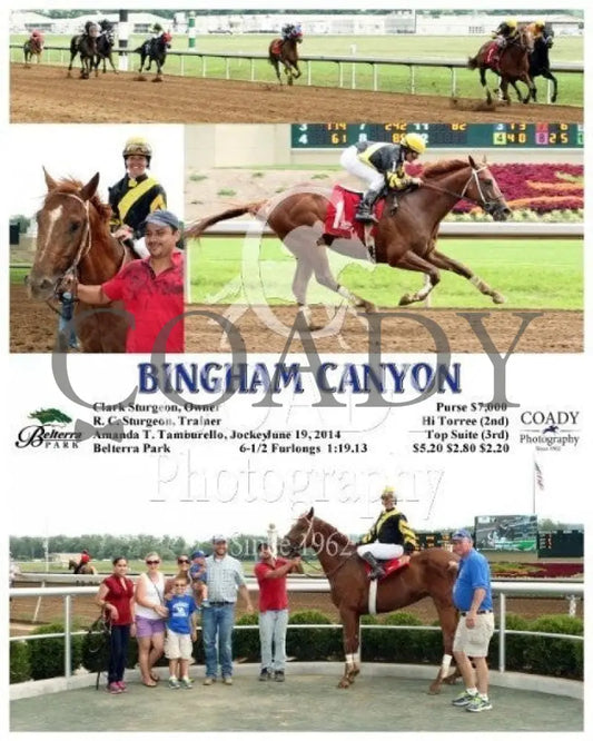 Bingham Canyon - 061914 Race 08 Btp Belterra Park