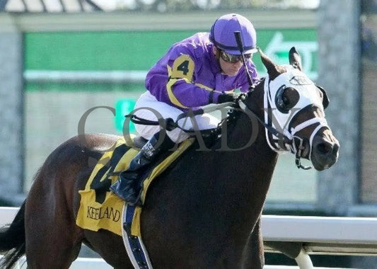 Biogio’s Gift - 1 101511 Race 04 Keeneland