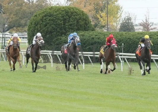 Birdie Beats Par - 1 102111 Race 03 Keeneland