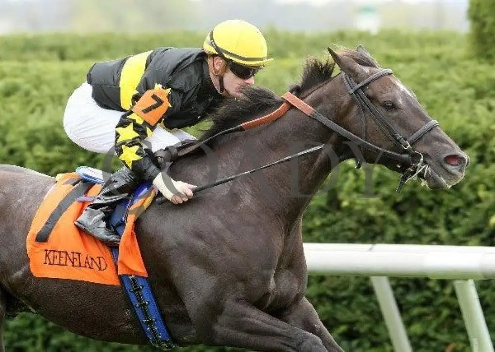 Birdie Beats Par - 2 102111 Race 03 Keeneland