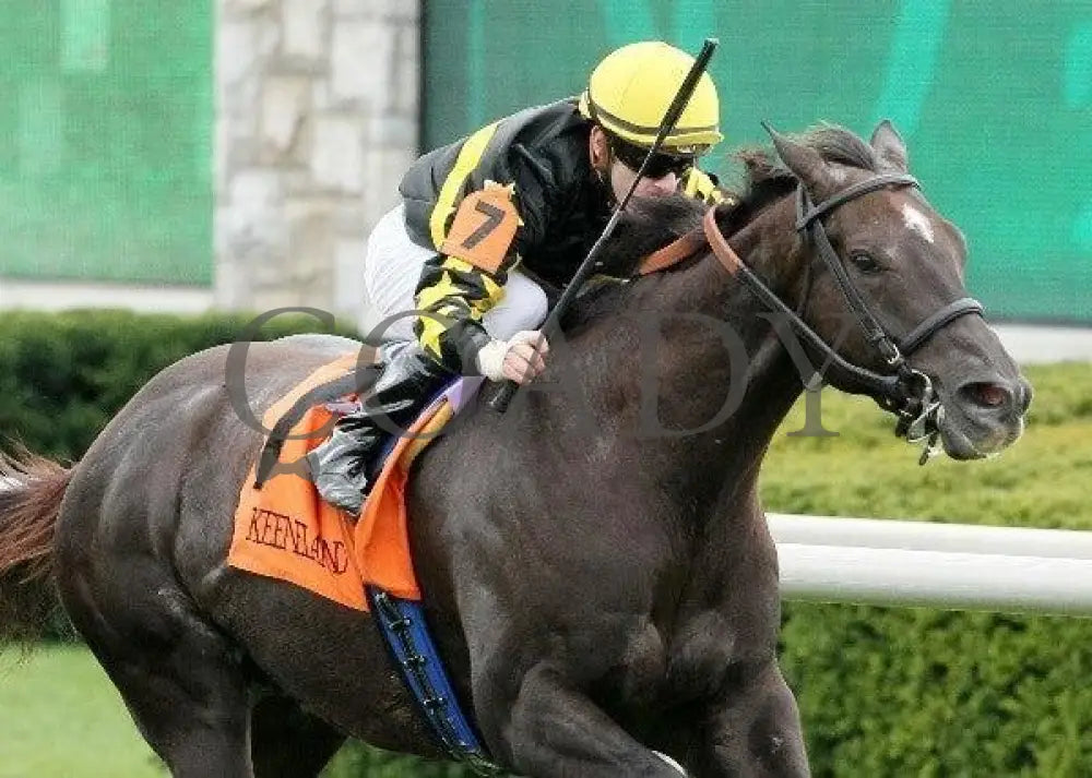 Birdie Beats Par - 3 102111 Race 03 Keeneland