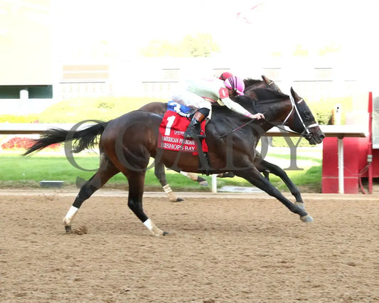 BISHOPS BAY - American Pharoah Overnight Stakes - 1st Running - 03-29-25 - R11 - OP - Finish 01 Oaklawn Park