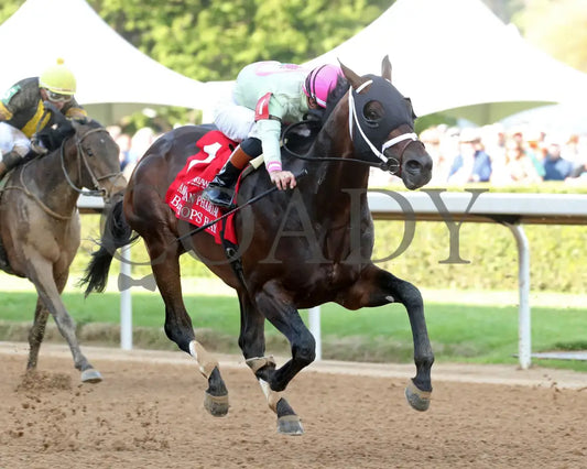 BISHOPS BAY - American Pharoah Overnight Stakes - 1st Running - 03-29-25 - R11 - OP - Finish 02 Oaklawn Park