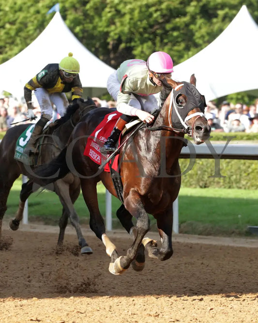 BISHOPS BAY - American Pharoah Overnight Stakes - 1st Running - 03-29-25 - R11 - OP - Finish 03 Oaklawn Park