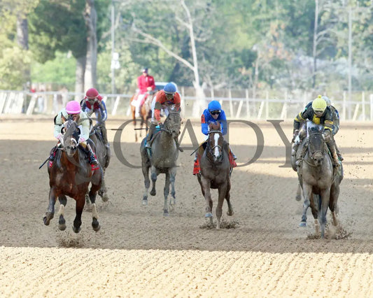 BISHOPS BAY - American Pharoah Overnight Stakes - 1st Running - 03-29-25 - R11 - OP - Head On 01 Oaklawn Park