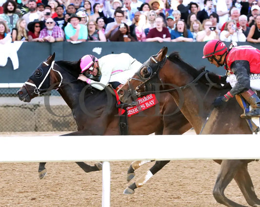 BISHOPS BAY - American Pharoah Overnight Stakes - 1st Running - 03-29-25 - R11 - OP - Inside Finish 01 Oaklawn Park