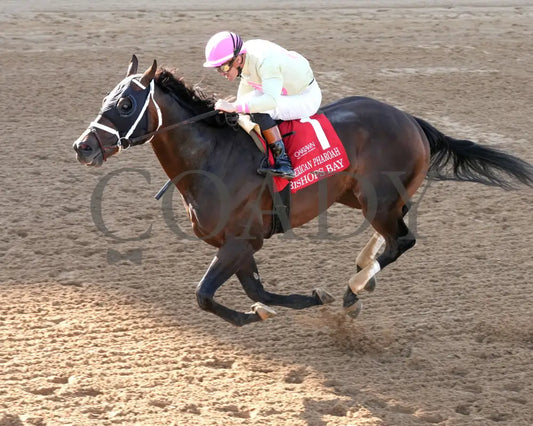 BISHOPS BAY - American Pharoah Overnight Stakes - 1st Running - 03-29-25 - R11 - OP - Inside Finish 03 Oaklawn Park