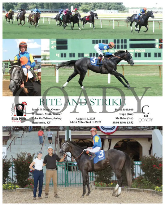 BITE AND STRIKE - 08-11-25 - R09 - ELP Ellis Park