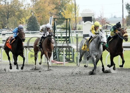Bizzee Mizzee - 1 102111 Race 02 Keeneland