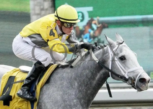 Bizzee Mizzee - 2 102111 Race 02 Keeneland