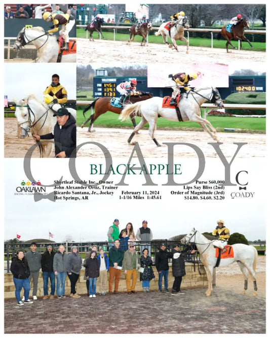 Black Apple - 02-11-24 R07 Op Oaklawn Park