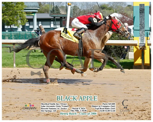 Black Apple - 03 - 09 - 24 R04 Op Action Oaklawn Park