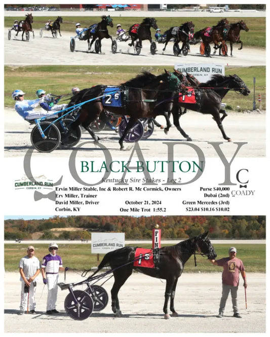 Black Button - Kentucky Sire Stakes Leg 2 10-21-24 R05 Clr Cumberland Run
