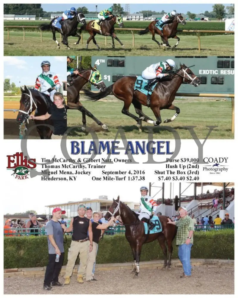 Blame Angel - 090416 Race 08 Elp Ellis Park