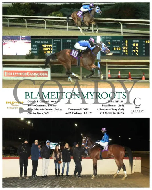BLAMEITONMYROOTS - 12-05-25 - R04 - CT Hollywood Casino at Charles Town Races
