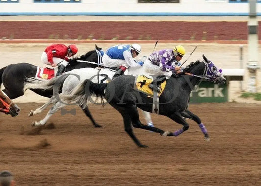 Blazin N Shakin - Four Corners Senora Sunray Park