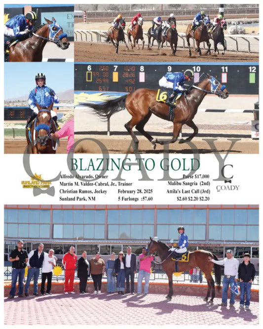 BLAZING TO GOLD - 02-28-25 - R04 - SUN Sunland Park