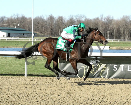 BLESS THE BROKEN - Bourbonette Oaks - 43rd Running - 03-22-25 - R11 - TP - Finish 01 Turfway Park