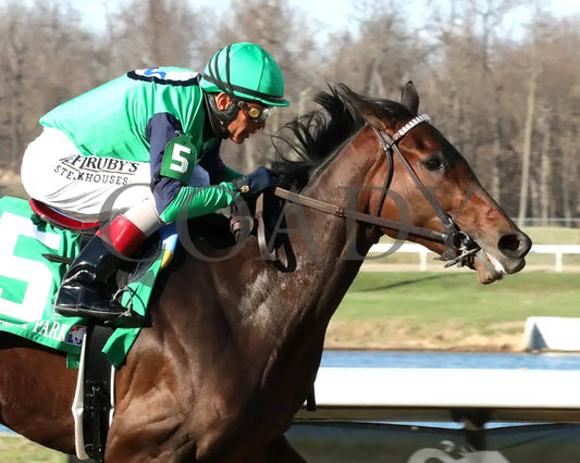 BLESS THE BROKEN - Bourbonette Oaks - 43rd Running - 03-22-25 - R11 - TP - Finish 02 Turfway Park