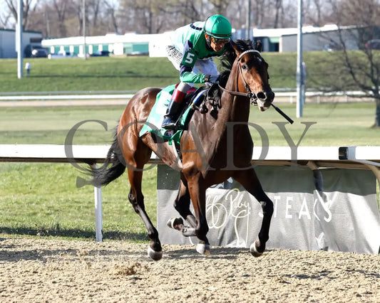 BLESS THE BROKEN - Bourbonette Oaks - 43rd Running - 03-22-25 - R11 - TP - Finish 03 Turfway Park